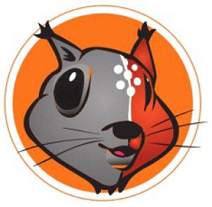 Летняя образовательная школа