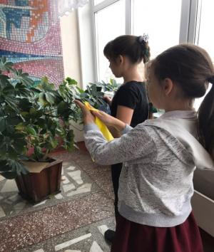 Неделя окружающего мира