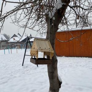 ПОДКОРМИТЕ ПТИЦ ЗИМОЙ